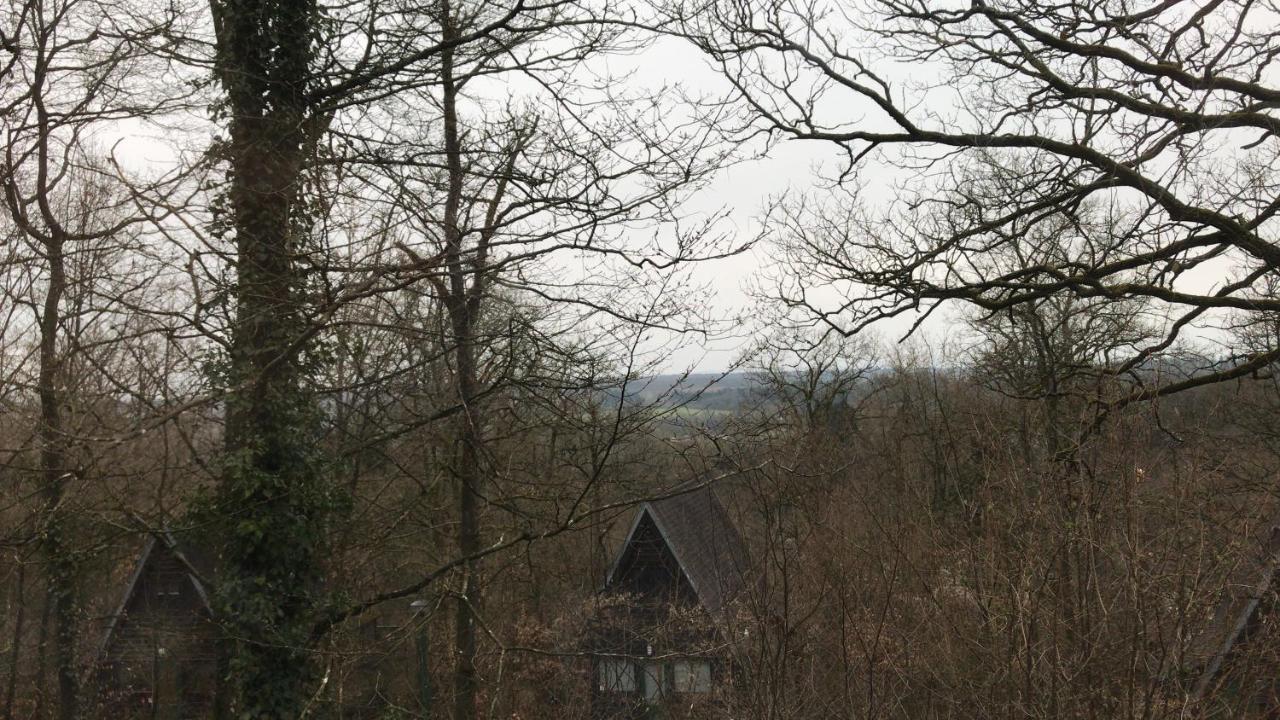 Willa Durbuy Vakantie - Bungalow 16 Zewnętrze zdjęcie